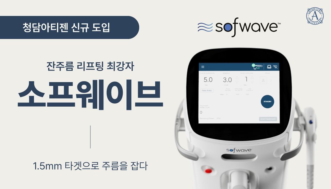 소프웨이브